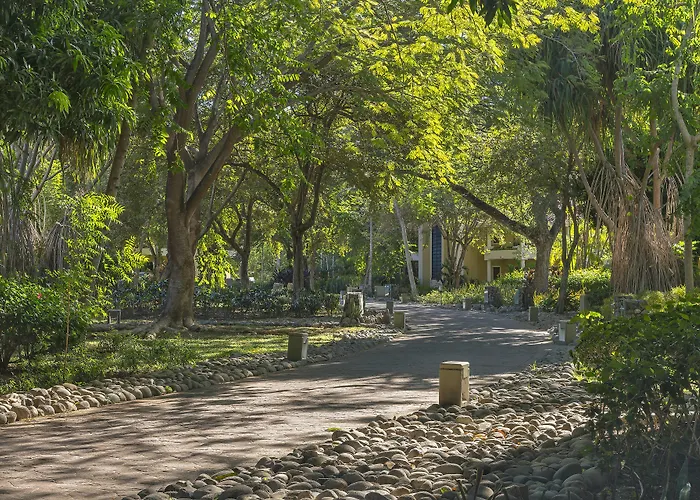 The Westin Reserva Conchal, An Golf & Resort Playa Conchal